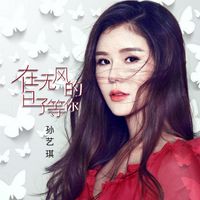 在无风的日子等你