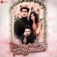 Bhula Na Teri Baatein