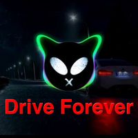 Drive Forever
