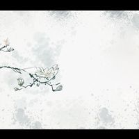 为你而来  剪辑版