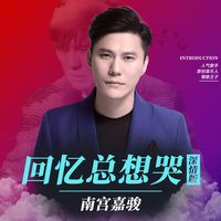回忆总想哭(扎心版)