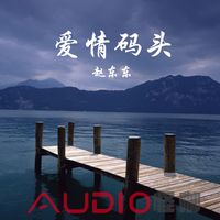 为情所伤(DJ版)