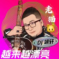 越来越漂亮DJ(老猫 Remix)(剪辑版)