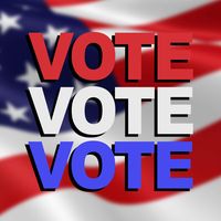 Vote Vote Vote
