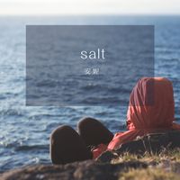 Salt(最火版)