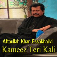 Tu Nahin To Terian Yaadan