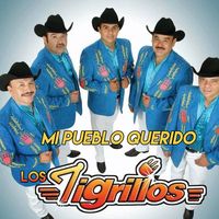 Mi Pueblo Querido