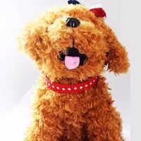 Despacito Versi Anjing, KEREN!!!!