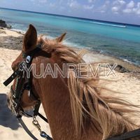 Old Town Road