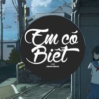 Em Có Biết (Remix)