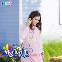 มองให้เต็มตา
