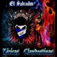 Vida De Bandidos