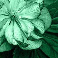 Meditation. Spiritual Ambient(1299135)