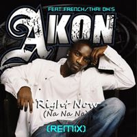 Right Now (Na Na Na) Remix