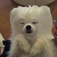 搞笑 欢乐