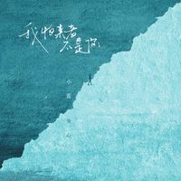 我怕来者不是你(DJ版)