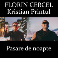 Pasare de noapte