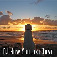 Dj How You Like That