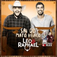 Sai do Mato Veiaco