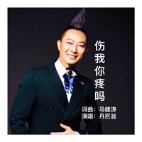 伤我你疼吗