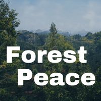 Birds and sparrows (environmental sounds / natural sounds)(322163)