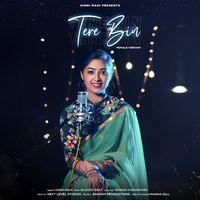 Tere Bin - Cover Version
