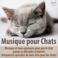 Musique de relaxation pour le chat : sons de piano doux et ronronnements apaisants (gamme de fréquences supplémentaire pour que le chat se sente bien)