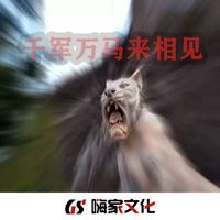 千年の祈り(抖音曲)
