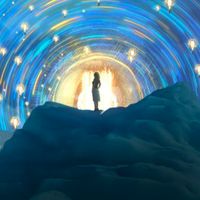 Lucid Dreams