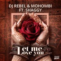 Let Me Love You (Radio Edit) (feat. Shaggy)