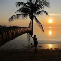 MOTIVATIONNAL HAPPY TROPICAL SUMMER MOOD SAX