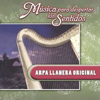 Pajarillo (Instrumental)
