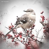 Mockingbird