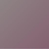 Monkeys Spinning Monkeys(feat.Kevin The Monkey)