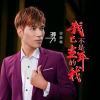 我已不是当年的我 (DJ版)