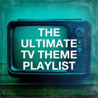 Theme from "The Professionals"