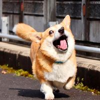 开心快乐轻松