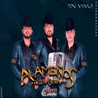 El Coco Rayado - En vivo