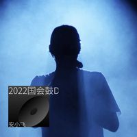 大海(DJ版)(安小飞 Remix)(剪辑版3)