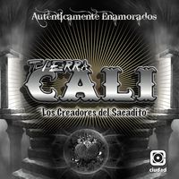 Si Tu Te Vas
