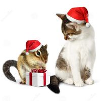 JINGLE BELLS