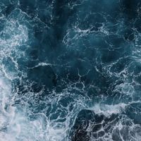 OCEAN