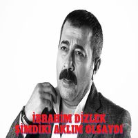 Şimdiki Aklım Olsaydı