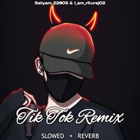 TIKTOK (REMIX)