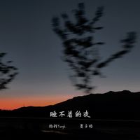 睡不着的夜(剪辑版)
