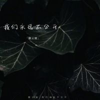 我记忆中的样子