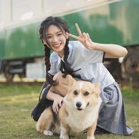 我要养一只小狗代替男朋友(剪辑版)