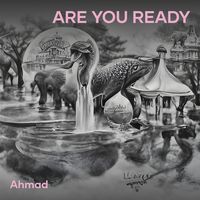 Are You Ready