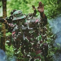 Commando Combat Training