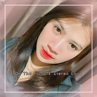 On The Floor X Stereo Love (Remix)